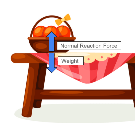 Find Out About Normal Reaction Force Worksheet EdPlace